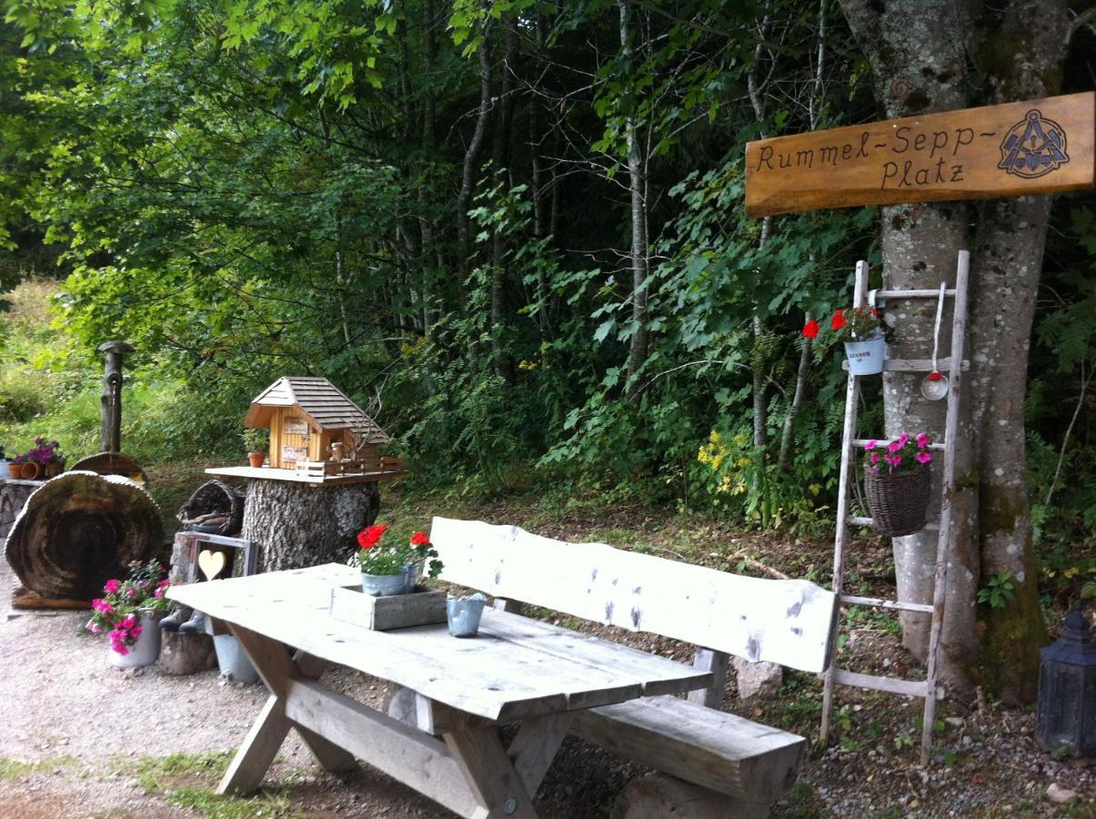 Ferienwohnung Waldblick Todtnau Kültér fotó